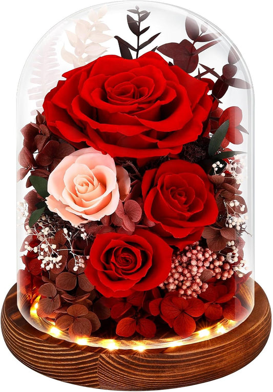 Forever Preserved Real Flowers for Delivery Prime, Etneral Fresh Roses in Glass Dome with LED Lights, Mothers Day Gifts for Mom, Her, Wife, Grandma, Daughter, Women, Girlfriend, Red