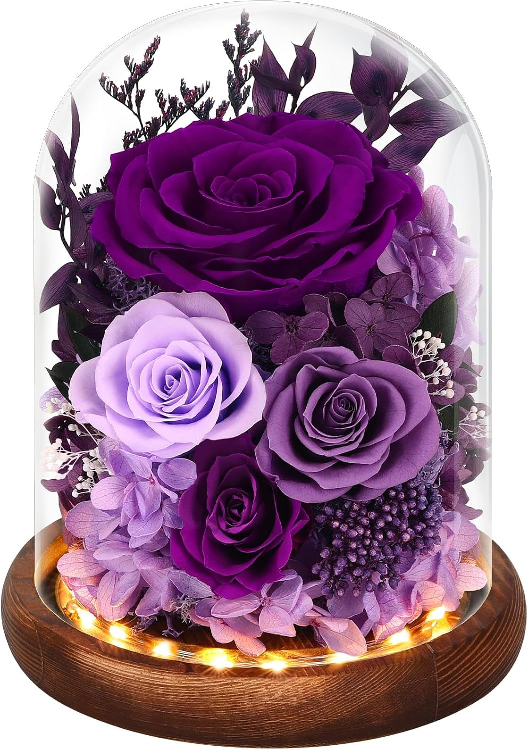 Forever Preserved Real Flowers for Delivery Prime, Etneral Fresh Roses in Glass Dome with LED Lights, Mothers Day Gifts for Mom, Her, Wife, Grandma, Daughter, Women, Girlfriend, Red